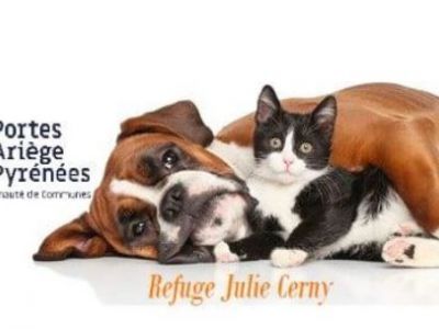 REFUGE POUR ANIMAUX : ADOPTION ANIMAUX de compagnie